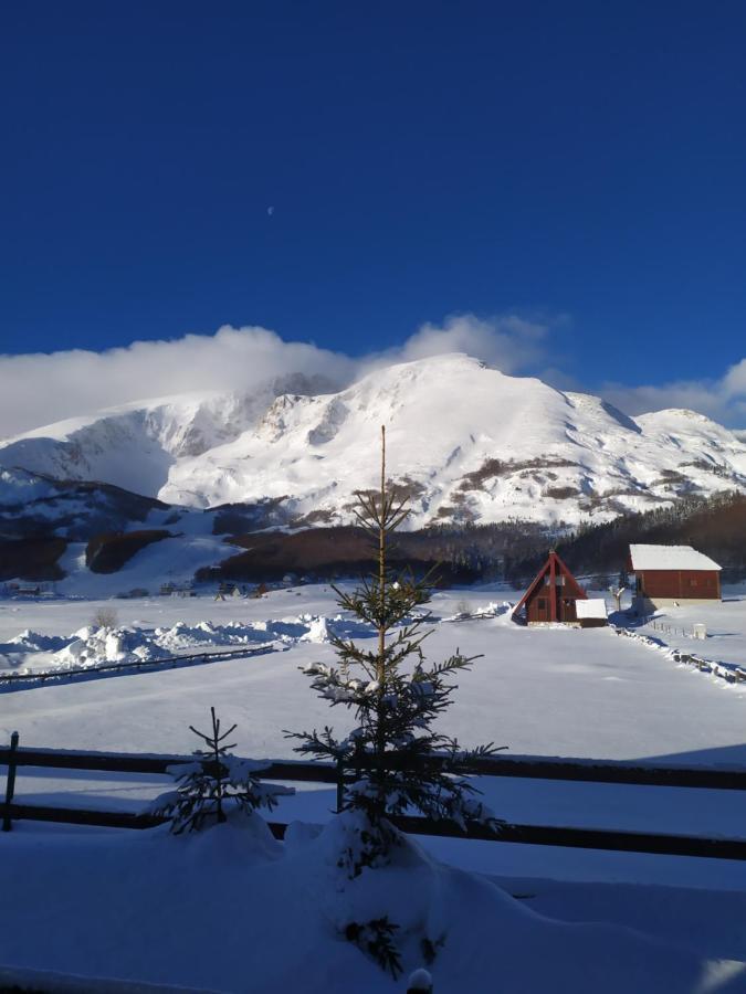 Guest House Holiday Zabljak  Luaran gambar